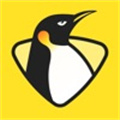 企鹅直播app下载安装