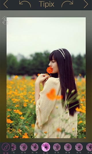 Tipi下载苹果免费免费版本