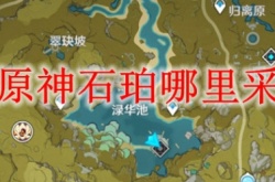 原神石珀在哪里采集 原神石珀采集地点