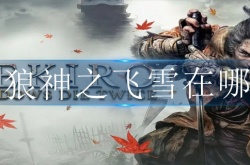 只狼神之飞雪如何获取 只狼神之飞雪怎么获得