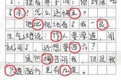 汉字找茬王配方作文错别字攻略 汉字找茬王作文错别字攻略