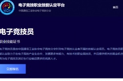 电子竞技职业技能认定考试平台正式上线 电子竞技职业技能证书王者荣耀怎么考