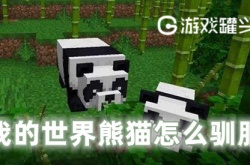 我的世界熊猫怎么驯服 我的世界熊猫有什么用