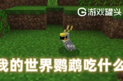 我的世界鹦鹉吃什么 我的世界鹦鹉吃什么才能驯服
