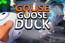 Goose Goose Duck鹅鸭杀隐藏服装 Goose Goose Duck隐藏服装