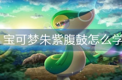 宝可梦朱紫腹鼓怎么学 宝可梦朱紫学腹鼓方法