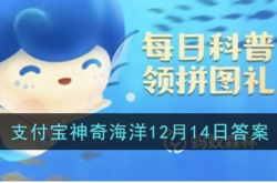 支付宝神奇海洋 支付宝神奇海洋答案