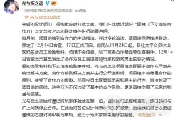 光与夜之恋取消和泸上阿姨联动事件 光与夜之恋和泸上阿姨取消联动