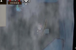 鹅鸭杀地下室雾洞任务怎么做 鹅鸭杀地下室雾洞任务一览