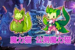 洛克王国魔力猫怎么快速升到100级 洛克王国魔力猫快速升到100级方法