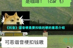 抖音谐音梗扣钱是什么 抖音谐音字梗