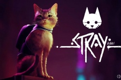 Stray怎么禁用抗锯齿 Stray禁用抗锯齿方法是什么