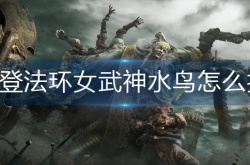 艾尔登法环女武神水鸟怎么打断 艾尔登法环女武神水鸟打断方法