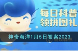 支付宝神奇海洋答案 支付宝神奇海洋答案2023