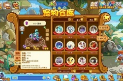 洛克王国海豚挖宝可以挖到什么 洛克王国海豚挖宝可以挖到东西一览