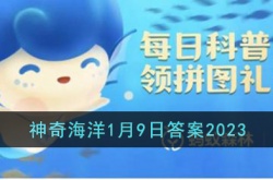 支付宝神奇海洋科普问答答案 支付宝神奇海洋科普问答答案最新