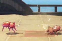 原神3.4斗虫活动怎么玩 原神3.4荒泷极意堂堂斗虫大试合活动
