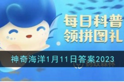 支付宝神奇海洋1月答案 支付宝神奇海洋答案