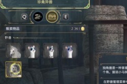 霍格沃茨之遗怎么快速赚钱 霍格沃茨之遗快速刷钱技巧攻略