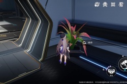 崩坏星穹铁道纸鹤任务道具 崩坏星穹铁道纸鹤任务道具攻略