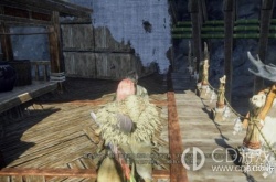 狂野之心水源问题 狂野之心水源问题攻略