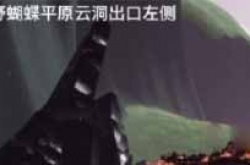光遇12黑石掉落 光遇黑石掉落