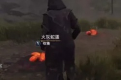 霍格沃茨之遗怎么获得火灰蛇蛋 霍格沃茨之遗火灰蛇蛋获得方法
