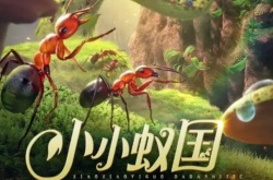 小小蚂蚁兑换码 小小蚂蚁兑换码2023