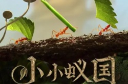 小小蚁国光照合约免费兑换 小小蚁国光照合约免费兑换码大全