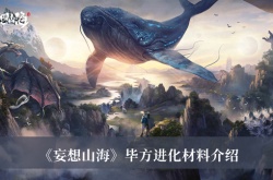 妄想山海毕方进化材料是什么？妄想山海毕方进化材料介绍